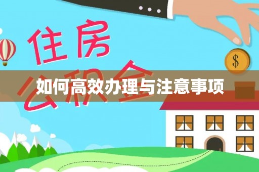 望都如何高效办理与注意事项