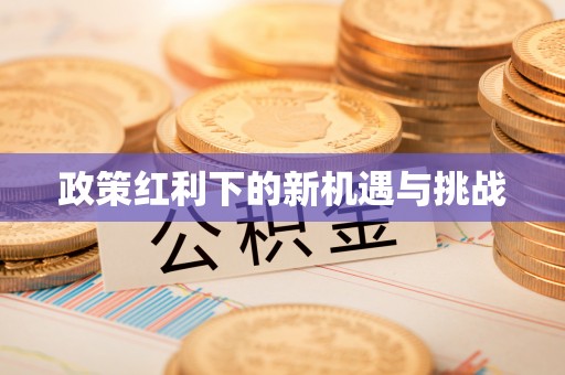 望都政策红利下的新机遇与挑战