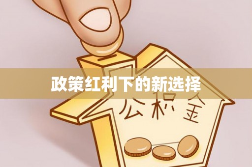 望都政策红利下的新选择