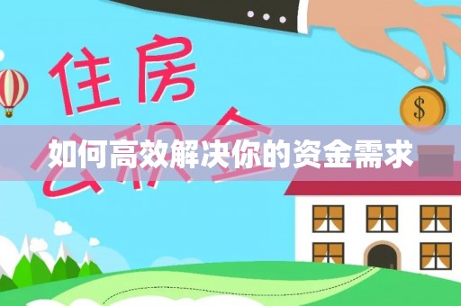 望都如何高效解决你的资金需求